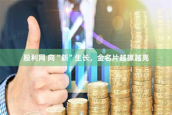 股利网 向“新”生长，金名片越擦越亮