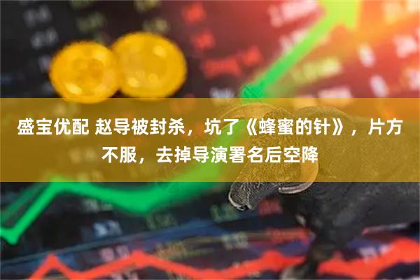 盛宝优配 赵导被封杀，坑了《蜂蜜的针》，片方不服，去掉导演署名后空降