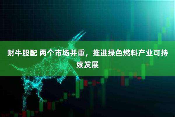 财牛股配 两个市场并重，推进绿色燃料产业可持续发展