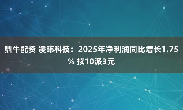 鼎牛配资 凌玮科技：2025年净利润同比增长1.75% 拟10派3元