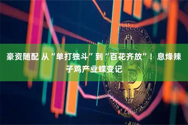 豪资随配 从“单打独斗”到“百花齐放”!息烽辣子鸡产业蝶变记